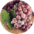Для винограда Для винограда