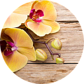 Для орхидей Для орхидей
